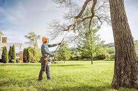 Best Tree Disease Treatment  in Lake Goodwin, WA